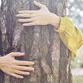 “Abbraccia il tuo albero”, 19 luglio consegna dei certificati di adozione a Cava de’ Tirreni