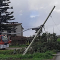 Agropoli, il forte vento fa cadere alberi e pali Tim