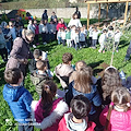 Ambiente, Lions Club regala tre alberi all'ITC Giovanni XXIII di Cava de’ Tirreni in occasione della Festa degli alberi