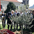 Cava de' Tirreni, celebrata la Giornata della Pace