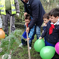 Cava de' Tirreni: continuano le attività dedicate alla "Festa dell'Albero"