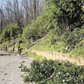 Cava piange Di Martino