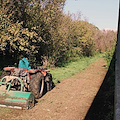 “CostruendoUNISA”: in corso interventi di pulizia delle aree perimetrali a verde del campus di Fisciano