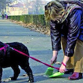 Deiezioni canine, arriva l'ordinanza