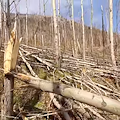 «Dissesto idrogeologico è in atto sulle montagne di Cava de' Tirreni», l'allarme degli Amici di Monte Finestra 