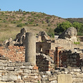 Domenica al Museo, 5 febbraio visita gratuita al parco archeologico di Velia