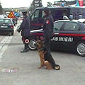 In scena una rapina "garantita"