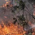 Incendi di sterpaglie a Cava: aria irrespirabile e cittadini chiusi in casa