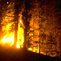 Incendio doloso sul Monte Caruso