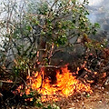 Incendio sterpaglie a Cava: tre persone sanzionate, intensificati controlli