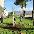 Legambiente Cava, riparato danno ambiente in via Giuseppe Del Rosso 