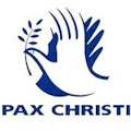 Pax Christi, appello elettorale per l'utilizzo pacifico delle risorse