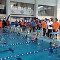 Piscina, NCD chiede la "testa" di Baldi