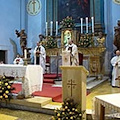 Poche messe a S. Pietro, fedeli in rivolta