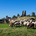 Pompei, eco pascolo per una manutenzione sostenibile dell'area verde della città antica