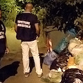 Rifiuti a Cava de' Tirreni: fioccano multe per sacchetti selvaggi