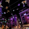 Salerno illumina il Natale con le incantevoli 'Luci d'Artista' celebrando la natura /FOTO