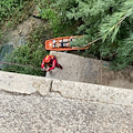 Scomparso da ore, 30enne ritrovato ferito sotto il ponte del Tusciano 