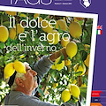 TAGS, in edicola il numero 1