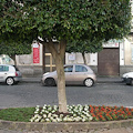 Tricolore floreale ed "Officina Ambientale", Cava da pollice verde