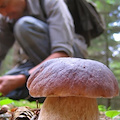 Va a funghi ma si perde sul Monte Cervati: cavese ritrovato dopo ore di ricerca 