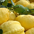Vietri sul Mare, dal 12 al 14 luglio torna la "Festa del Limone" nel borgo di Dragonea 