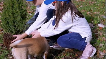 “Adotta l’alberello”, oltre 100 piccoli abeti a disposizione dei cittadini di Cava de' Tirreni 