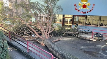 Albero crollato a Fisciano: si è risvegliato dal coma lo studente 25enne rimasto ferito 