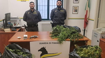 Arrestato uomo a Cava de' Tirreni: coltivava piante di canapa indiana sul terrazzo