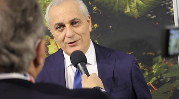 Brucellosi Caputo: "Sette milioni di euro per risarcire le imprese bufaline campane"