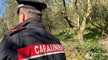 Carabinieri, scoperti 18 lavoratori in nero: sospese due aziende agricole a Sarno