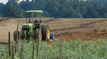 Cava de' Tirreni: 23 novembre il convegno “Il Valore sociale dell’Agricoltura, buone pratiche ed esperienze a confronto”