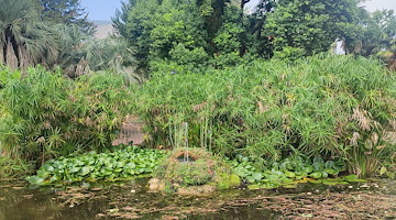 Cava de' Tirreni, l'antica fontana è diventata un micro ambiente