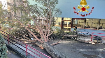 Crolla albero all'Università di Salerno: cinque feriti, uno è grave 