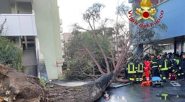 Salerno, dimesso dal "Ruggi" lo studente ferito dopo il crollo dell'albero all'Università 