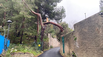 Sarno: richiesto Stato di calamità naturale dopo i danni causati dal forte vento