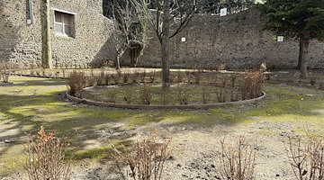 Un nuovo tassello verde nel parco archeologico di Pompei: aperta la "Casa dell'Orto Botanico"