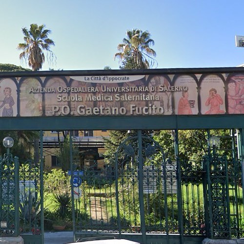 Ospedale di Mercato San Severino<br />&copy; Google Maps