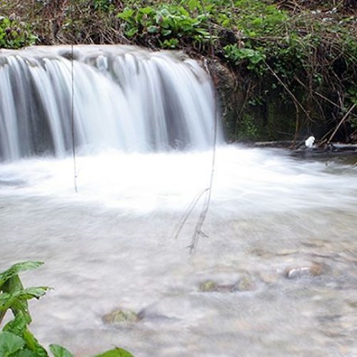 Il ruscello Selano alla Badia (foto di Angelo Tortorella)