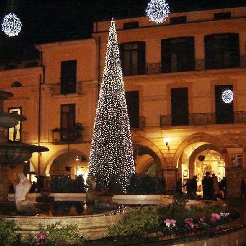 L'albero in Piazza Duomo