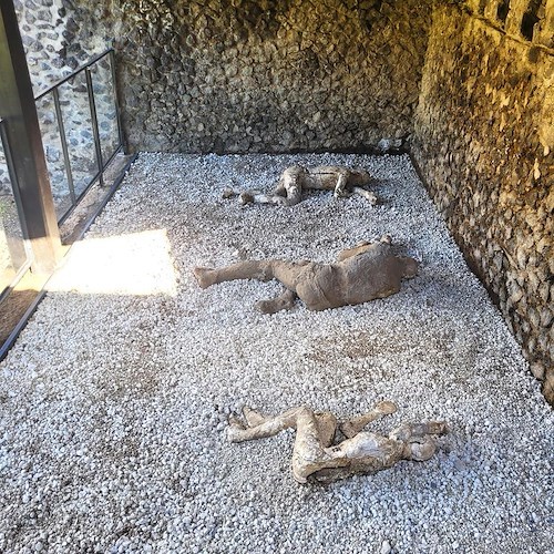 gruppo di calchi a Pompei<br />&copy; Parco Archeologico di Pompei