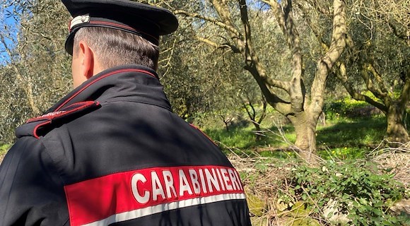 Carabinieri, scoperti 18 lavoratori in nero: sospese due aziende agricole a Sarno