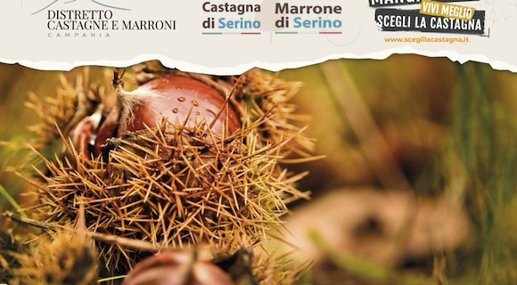 Giornata di Riflessione su Castagne e Marroni IGP a Serino